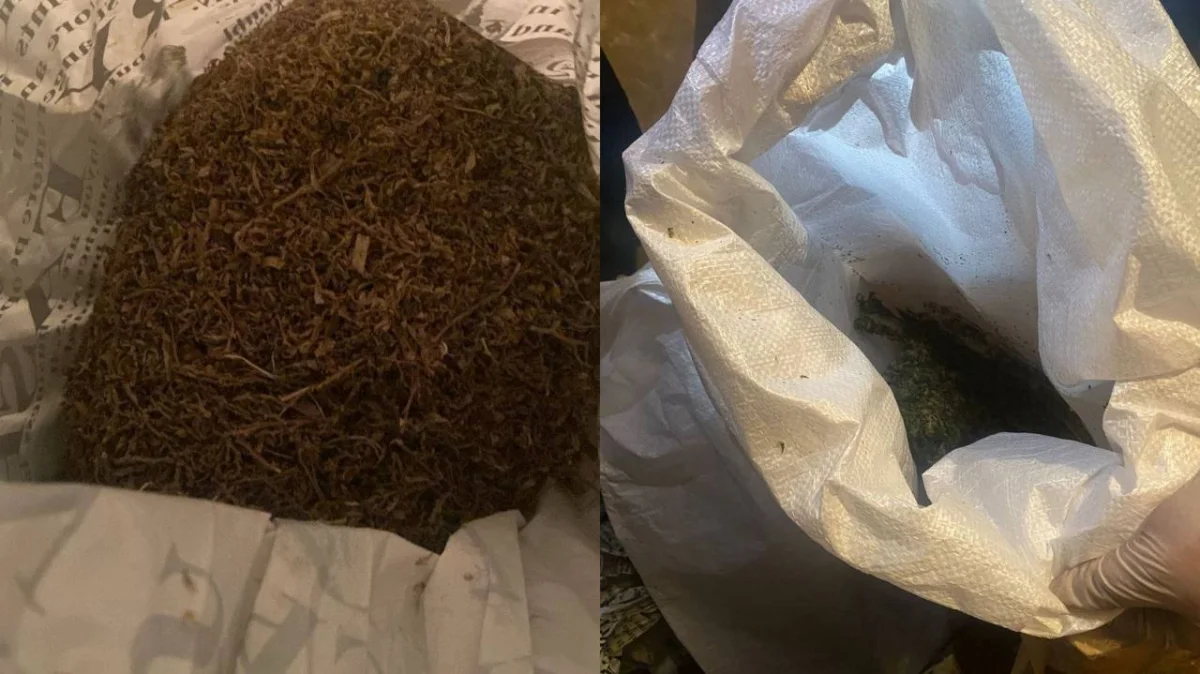 Мотоциклиста с пятью килограммами марихуаны поймали в Кокшетау