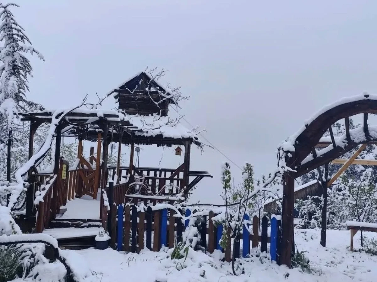 Түркияда 60 см-ге дейін қалың қар жауды