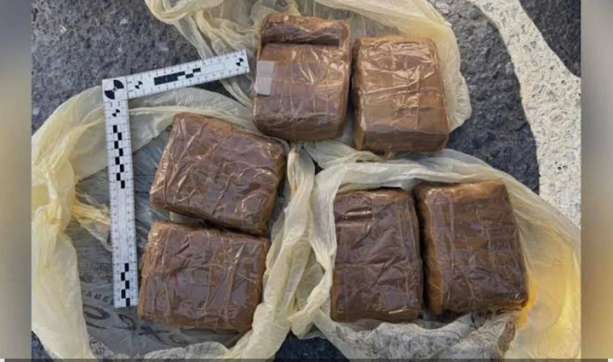 Жамбыл облысында полицейлер заңсыз айналымнан 3 келіге жуық гашиш тәркіледі