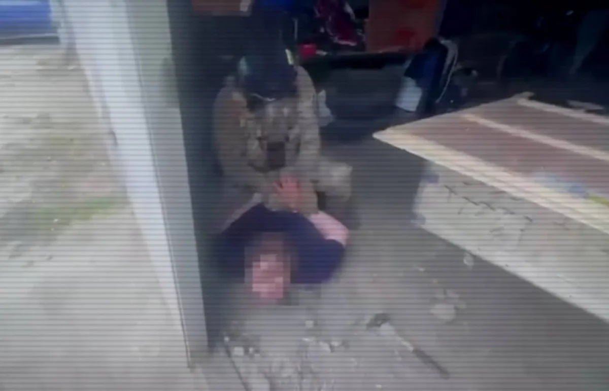 В Семее ликвидировали крупный канал поставки марихуаны (ВИДЕО)