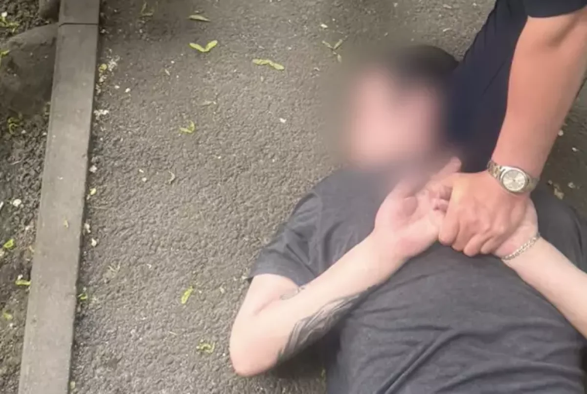 Алматыда әлеуметтік желіде қару сатылған