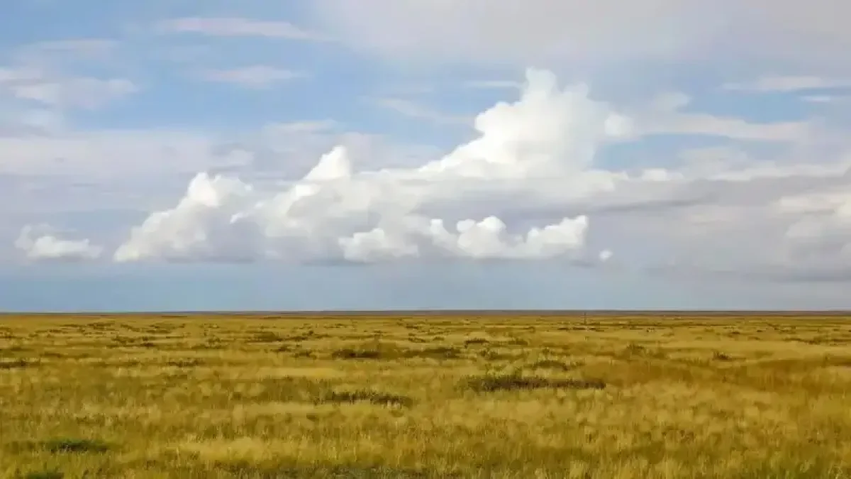 ШҚО прокуратурасы пайдаланылмай жатқан ауыл шаруашылығы жерлерін мемлекетке қайтарды