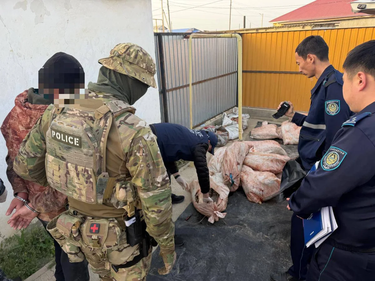 Атырау облысында полиция бекіре тұқымдас балықтардың заңсыз айналымының жолын кесті