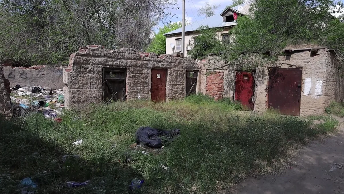 Ақтөбеде қоқыс жәшігінен шақалақ табылды