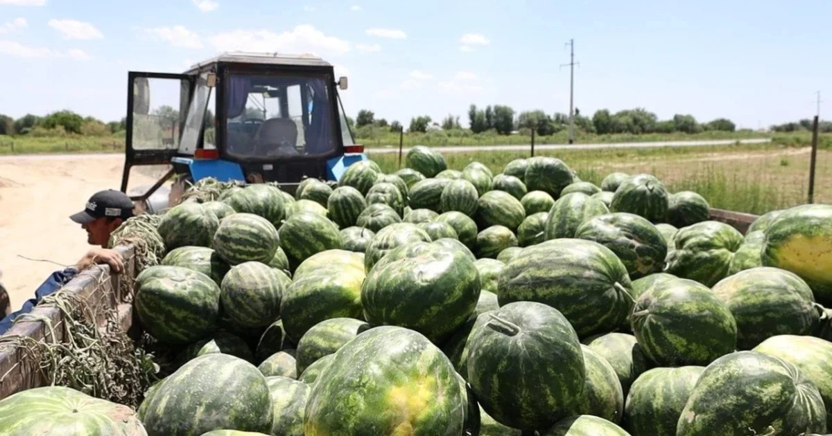 2027 жыл тарихтағы ең ыстық жыл болуы мүмкін - ғалым
