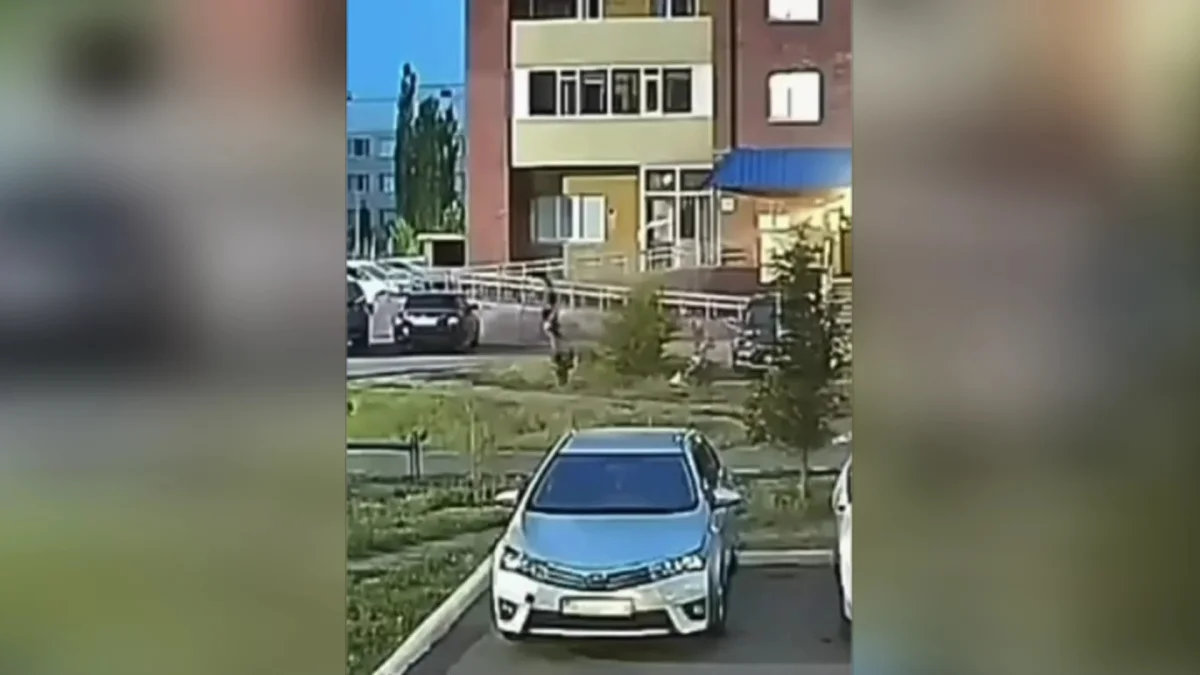 Пьяный мужчина с ружьём устроил дебош на улице и застрелил собаку в Семее