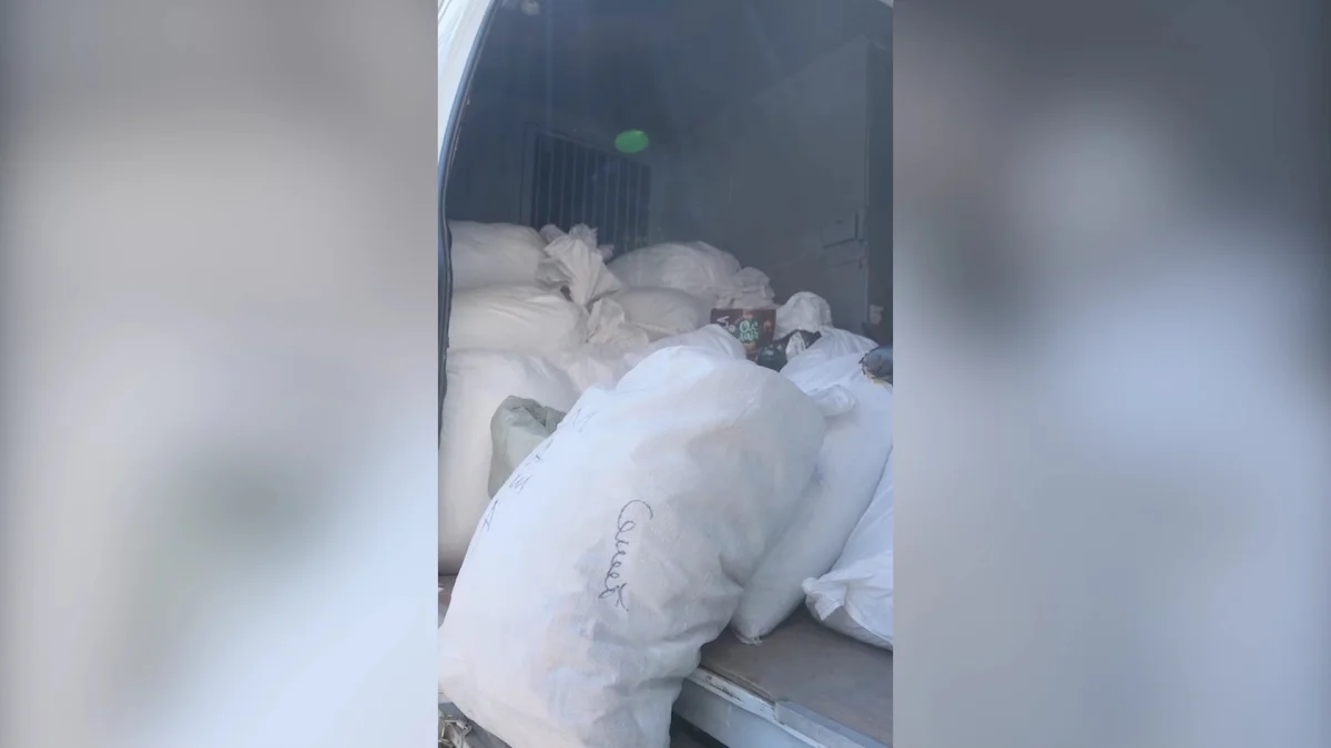 Сбытчика мака с наркотиками осудили в Павлодаре