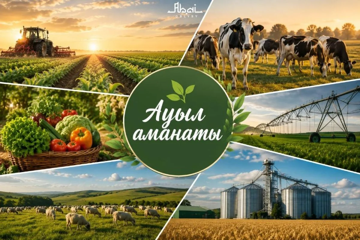 Түркістан облысында 3 жылда «Ауыл аманаты» жобасы арқылы 5 мыңға жуық жұмыс орны құрылды