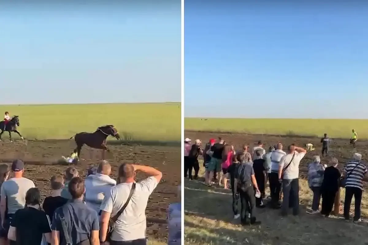 Полицейский выхватил ребенка из-под копыт лошадей