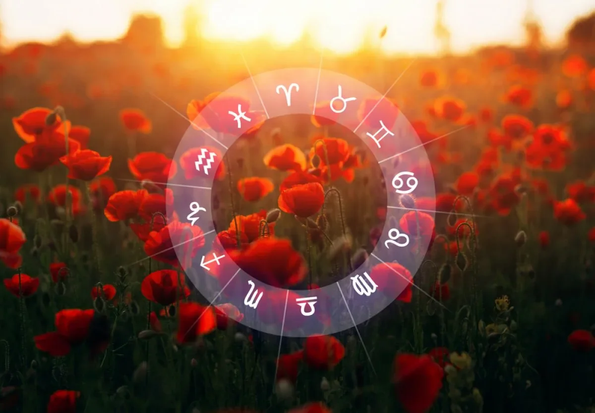 Стрельцы, сияйте, Весы не будьте «удобными»: советы звёзд на воскресенье, 19 июля