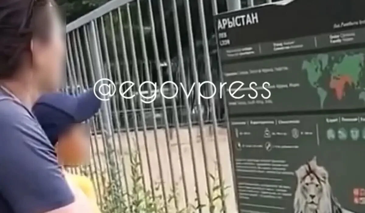 Женщина бросала камни во льва и показывала это детям в зоопарке Алматы