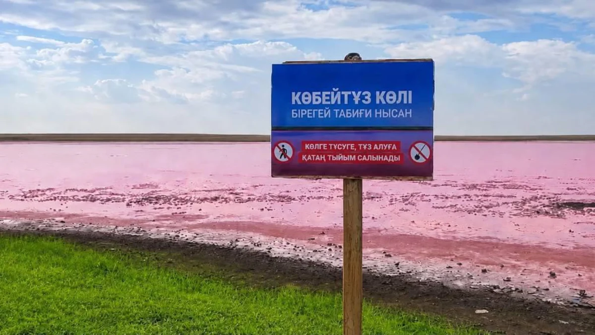 По поручению Главы государства на озере Көбейтұз начали действовать природоохранные ограничения