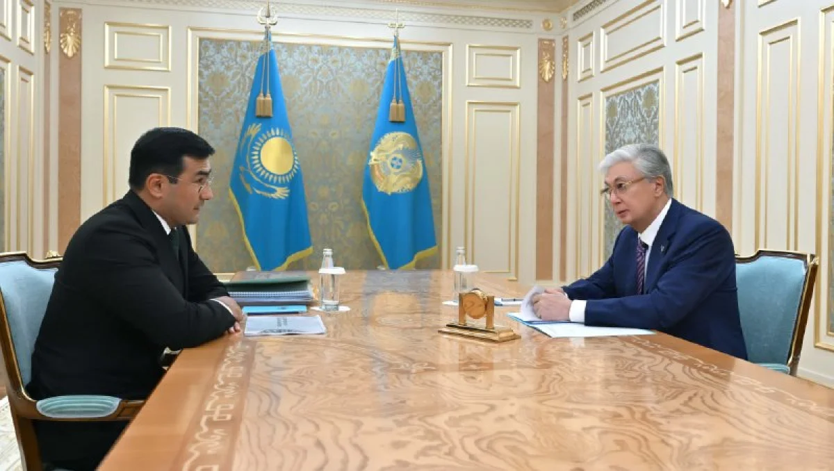 Президент «Бәйтерек» холдингінің басқарма төрағасы Рустам Қарағойшинді қабылдады