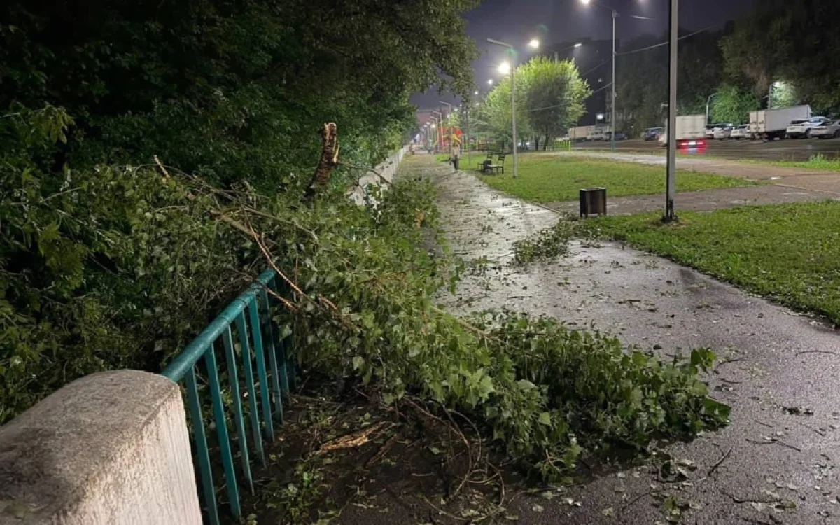 Өскеменде дүлей дауылдан 25 мыңға жуық абонент жарықсыз қалды