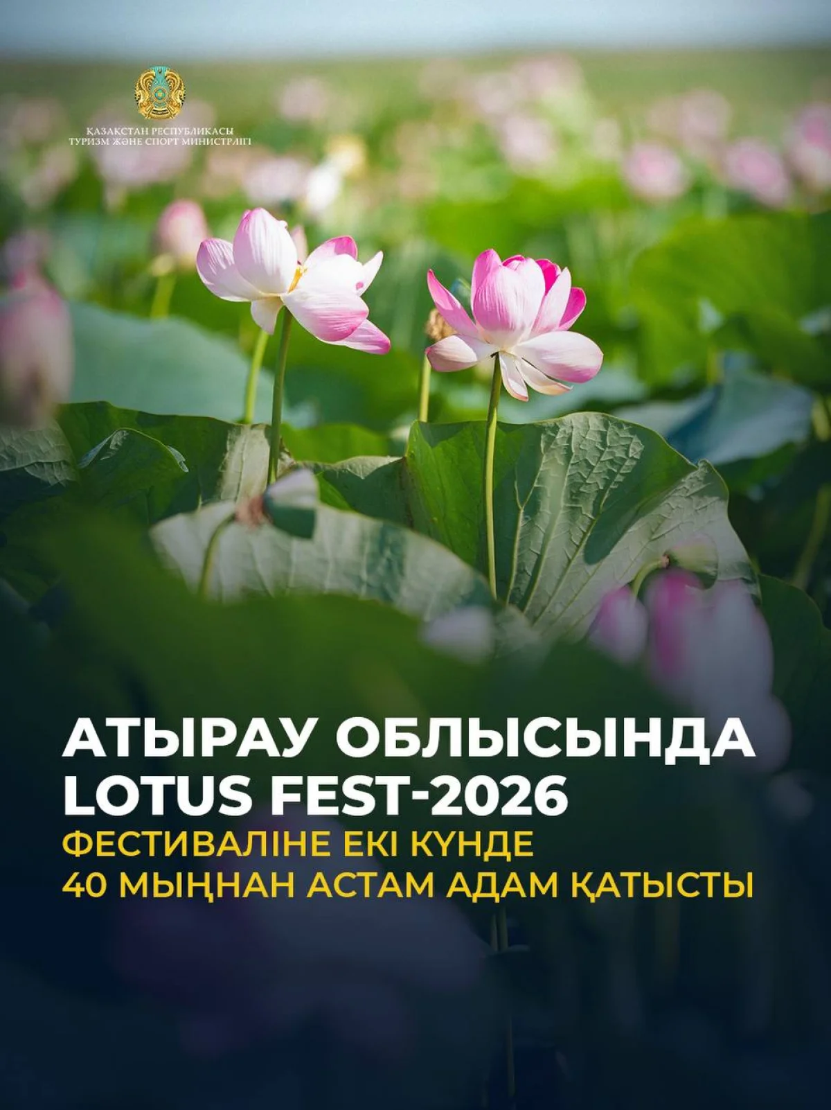 Атырау облысында Lotus Fest-2026 фестиваліне екі күнде 40 мыңнан астам адам қатысты