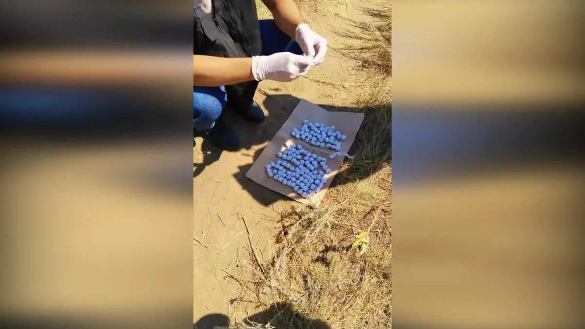 Полицейские Актобе изъяли более 370 свёртков с наркотиками у предполагаемых закладчиков