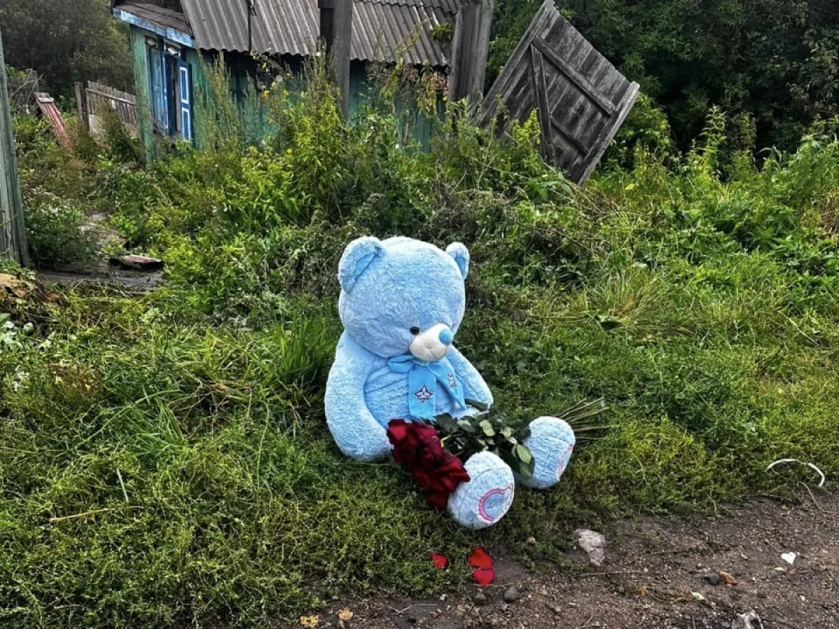 Девочка-подросток погибла, наехав на аркан для лошади в Риддере
