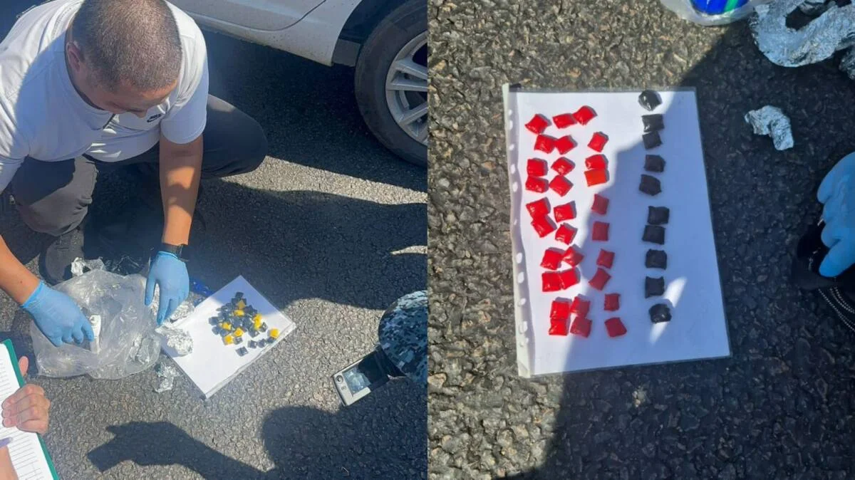 Петропавлда полиция синтетикалық есірткінің таралуына тосқауыл қойды