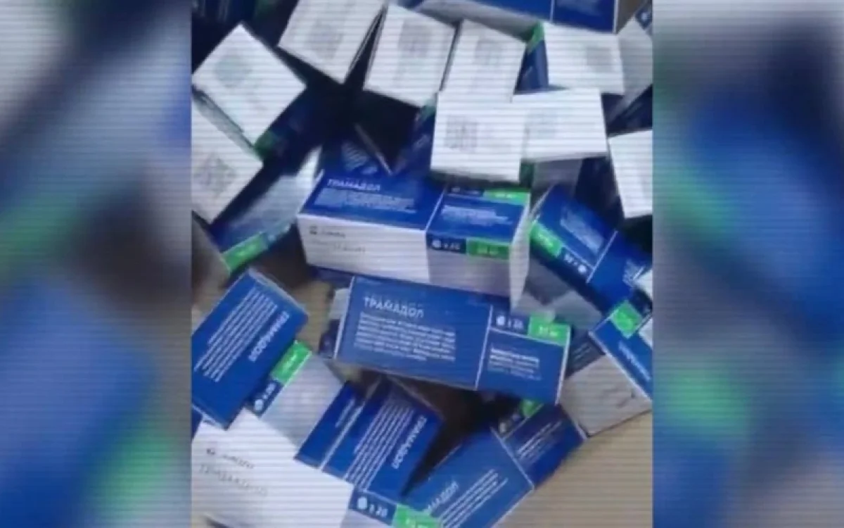 Әсері күшті дәрілерді заңсыз өткізген қылмыстық топ ұсталды
