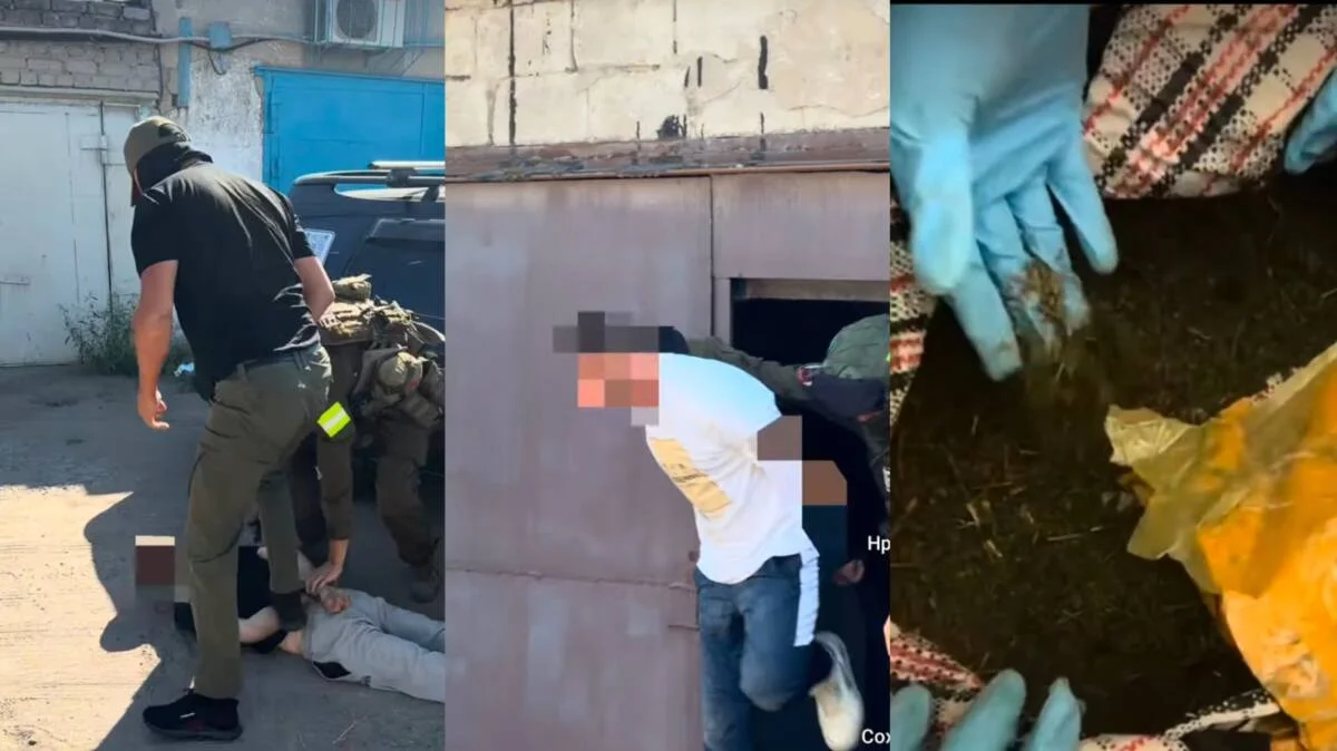 Павлодарда 60 келіге жуық марихуана тәркіленді