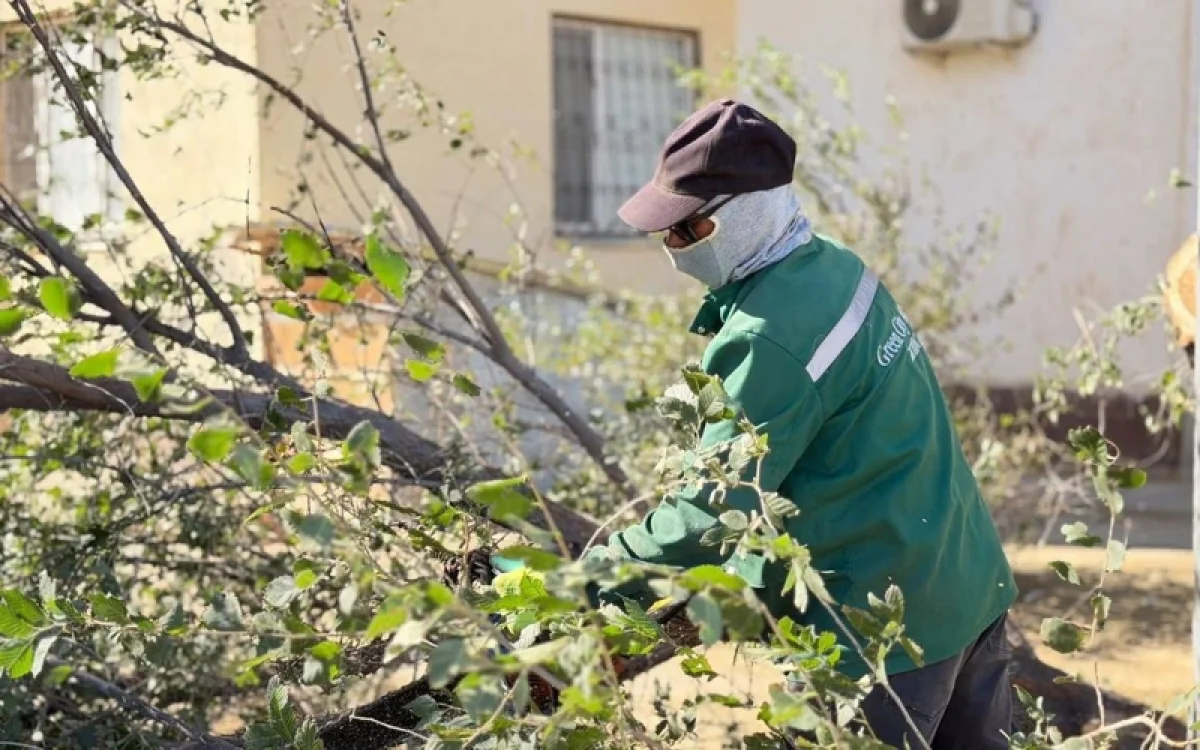 Қатты желден шатыр ұшып, ағаштар құлады
