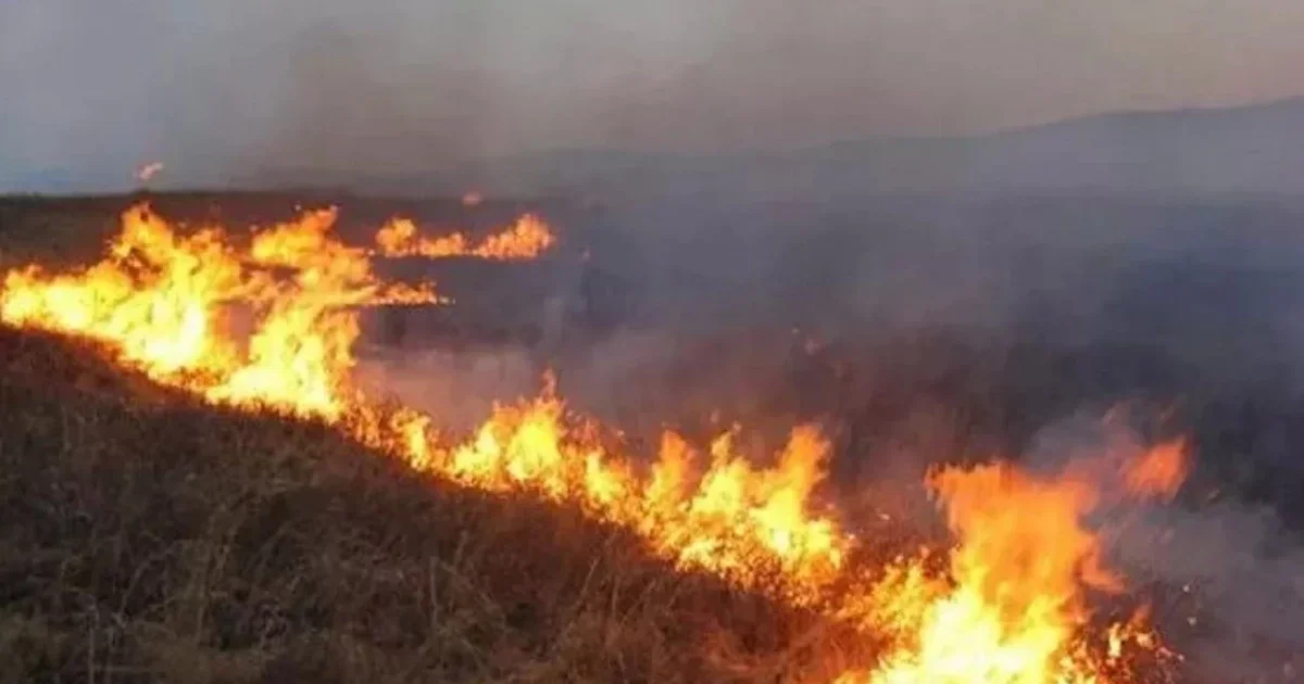 ТЖД жүргізушілерге ескерту жасады