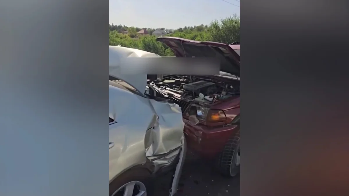 Алматыда көршісінің көлігін айдап кетіп, жол апатына ұшырады