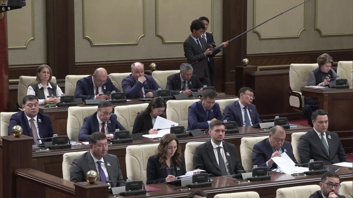 Онлайн-сауда 3,8 триллион теңгеге жетті: Қазақстан заңдарын ДСҰ-ға сай өзгертпек