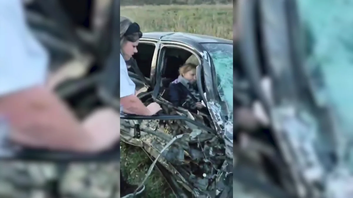 Резонансное ДТП в Восточном Казахстане: автору видео грозит штраф 20 МРП