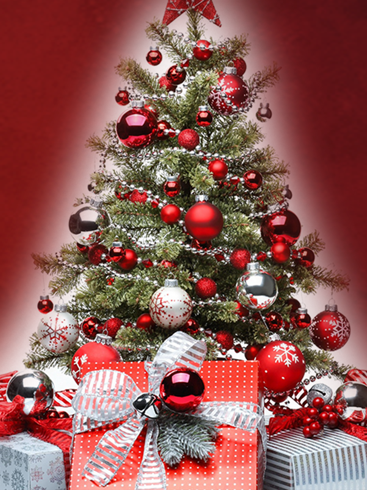 Жап-жаңа жыл