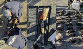 Қызылордада полицейлер заңсыз аңшылықпен айналысқан азаматты анықтады