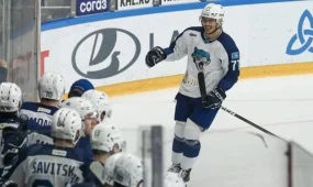 Sports24: Пульс результатов и обзоров live