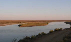 Қызылорда облысында қайраңда қалған балықтар құтқарылып жатыр