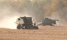 «Шаруаларға субсидияны уақытылы бермеу созылмалы дертке айналды», - депутат