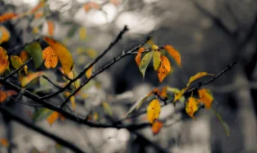 Похолодание и осадки идут в Казахстан