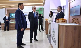 Президентке Қызылорда облысының инвестициялық жобалары таныстырылды