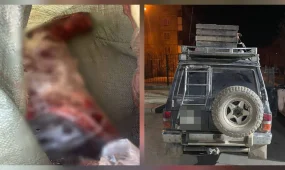 Қарағанды облысында полицейлер заңсыз киік аулау дерегін анықтады