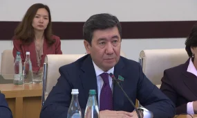 Мәжіліс төрағасы Грузияға ресми сапармен барды