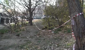 Алматыда анасын өлтіріп, мәйітін кілемге орап, қоқысқа тастаған күдікті ұсталды