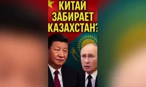 Пікірлерге кім әсер етеді және Mellstroy Game неге қауіпті?