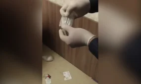 До 12 лет лишения свободы грозит петропавловцу за распространение наркотиков