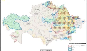 Бүгін жаңбыр жауып, жел соғады