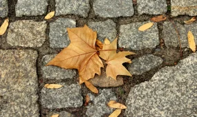 1 қарашадан бастап елімізде не өзгереді?