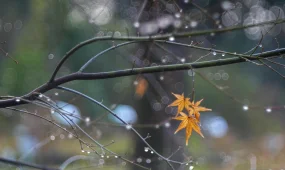 Ауа райы күрт нашарлайды