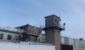 Тігін машинасының ішіне телефон мен SIM-карталар жасырған