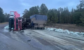 Три человека погибли в жуткой аварии под Семеем