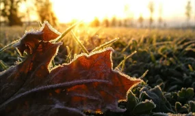 Резкое понижение дневных температур прогнозируют синоптики