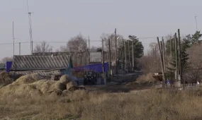 Қызылжар өңірінде жас жігіт диқанды мылтықпен атып өлтірген