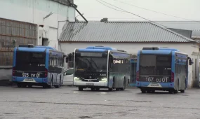 Число ДТП в Акмолинской области выросло на 13%