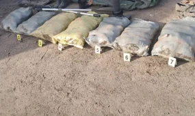 В Павлодарской области у браконьеров изъяли почти 300 кг рыбы